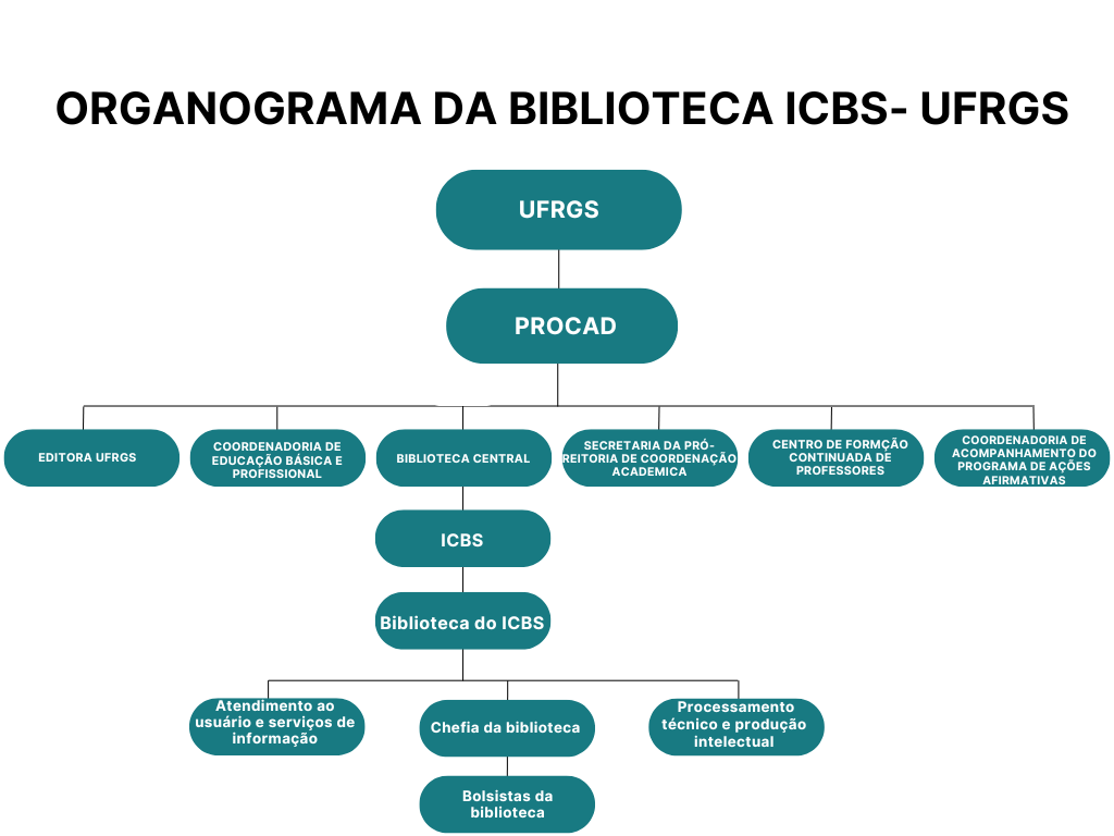 Organograma bibicbs.png