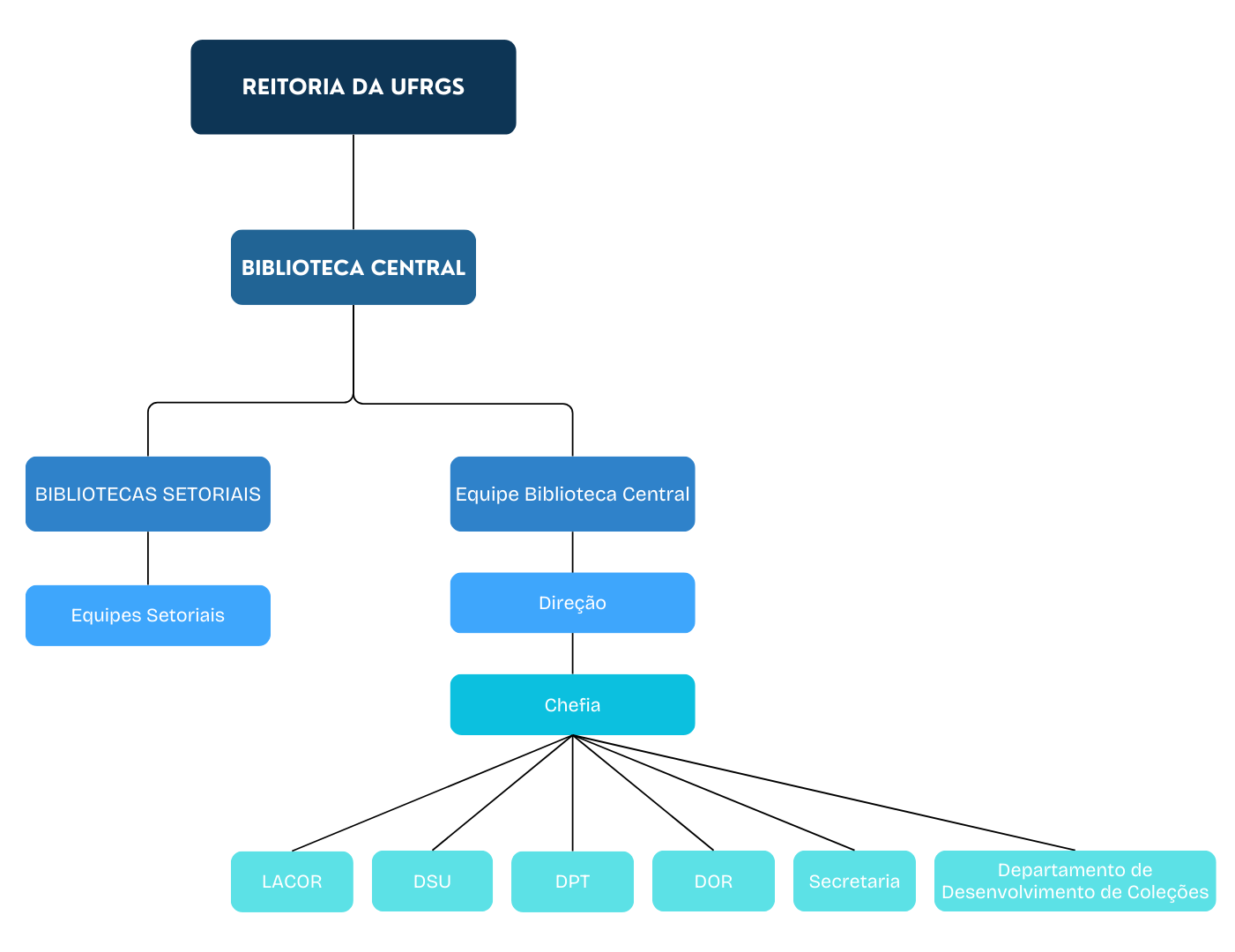 Organograma sbufrgs.png